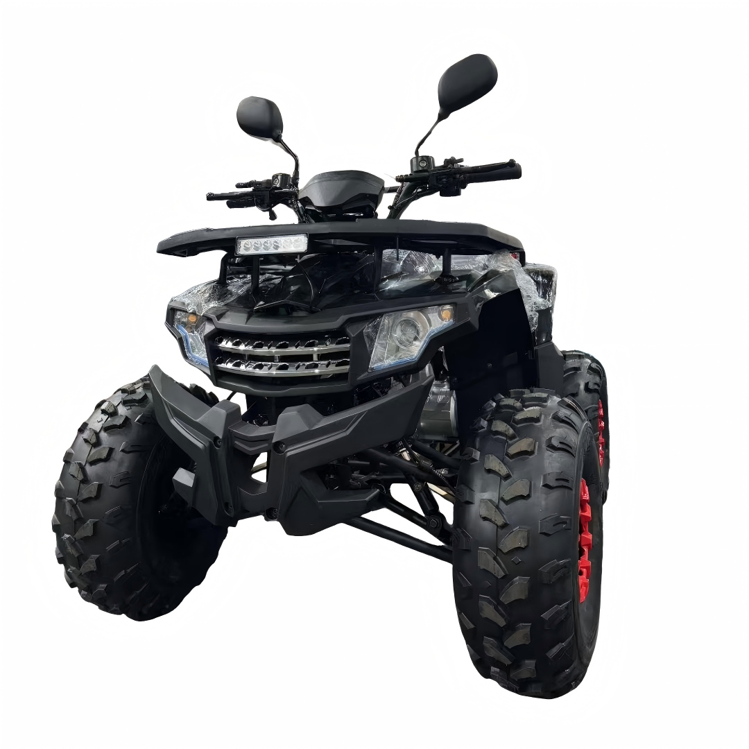 2026 New Model 125cc 4-Stroke  - Outdoor Adventure Quad Biking 评论和价格