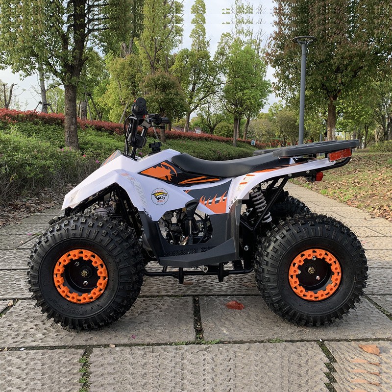 125CC ATV, Small Falcon All-Te - Outdoor Adventure Quad Biking 评论和价格