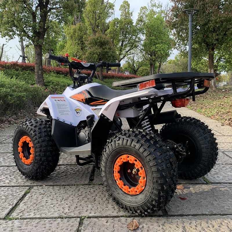 125CC ATV, Small Falcon All-Te - Outdoor Adventure Quad Biking 评论和价格