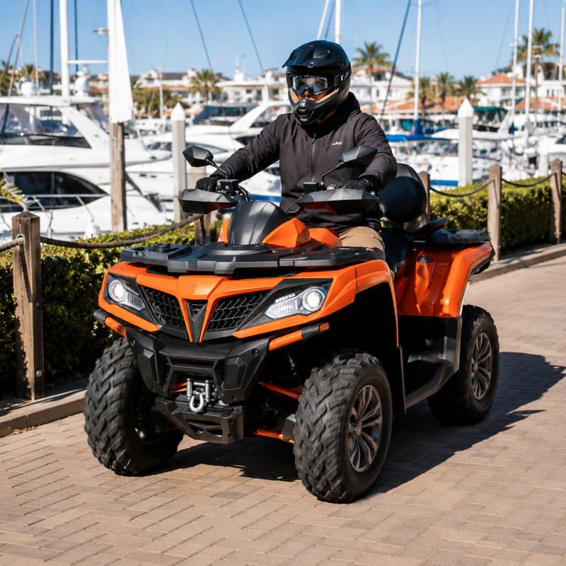 Adult Outdoor Buggy Customized - Outdoor Adventure Quad Biking 评论和价格